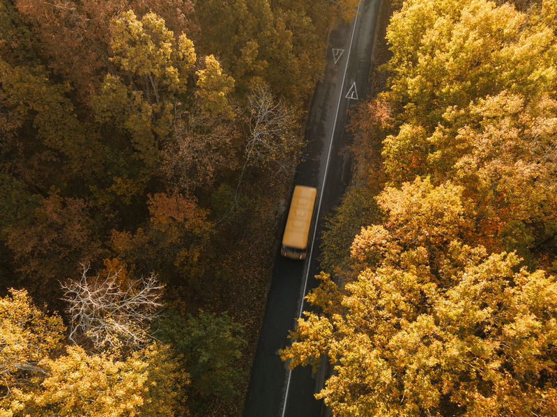 Aerial view of road with school bus in beautiful autumn forest at sunset