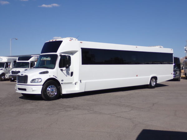 2016 Tiffany Executive Freightliner SJ7497 - Image 3