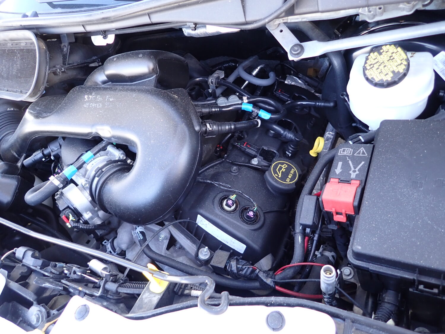 2016 Collins MFSAB Daycare Bus B66322 - Image 11