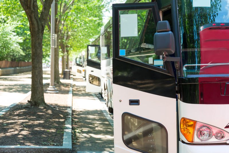 Tourist bus row with opened door against green tree alley.
